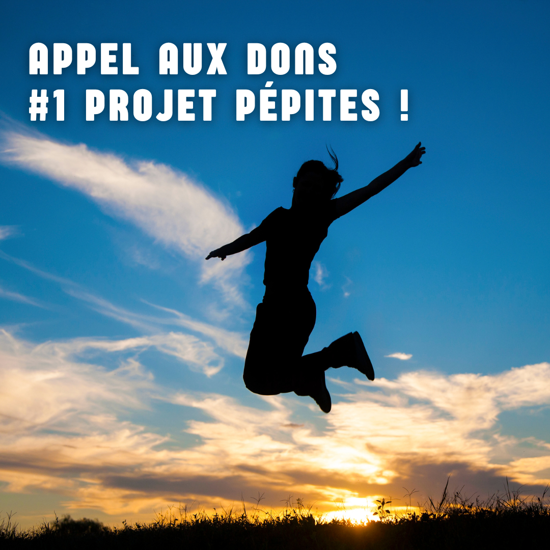 Lire la suite à propos de l’article #1 Projet “pépites” : Faites un don pour déployer des projets porteurs de sens !